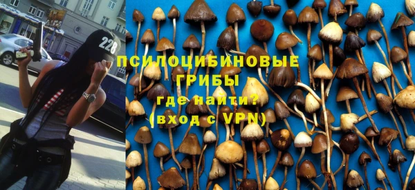 альфа пвп Надым