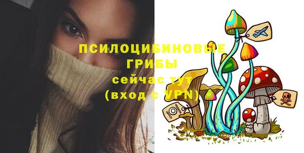 альфа пвп Надым