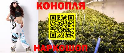 дмт Гагарин