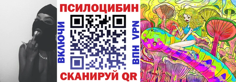 Галлюциногенные грибы Cubensis  площадка какой сайт  Химки  даркнет сайт 