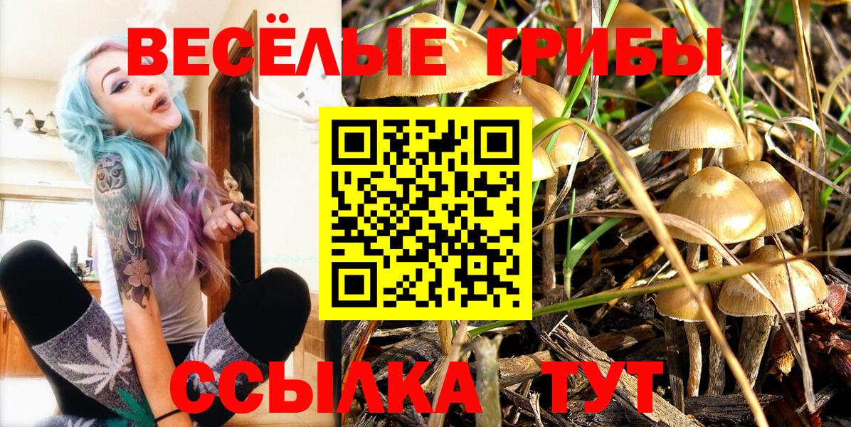 Галлюциногенные грибы Cubensis Химки