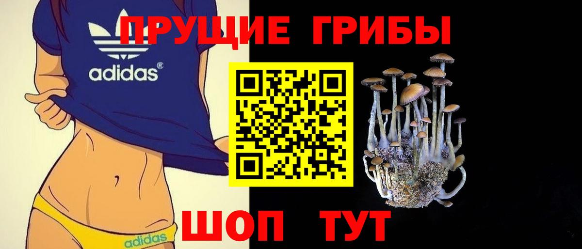 Галлюциногенные грибы GOLDEN TEACHER  где продают наркотики  Химки  Вход с VPN 